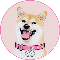 DOGEGF
