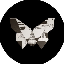 BTRFLY