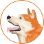 HACHI